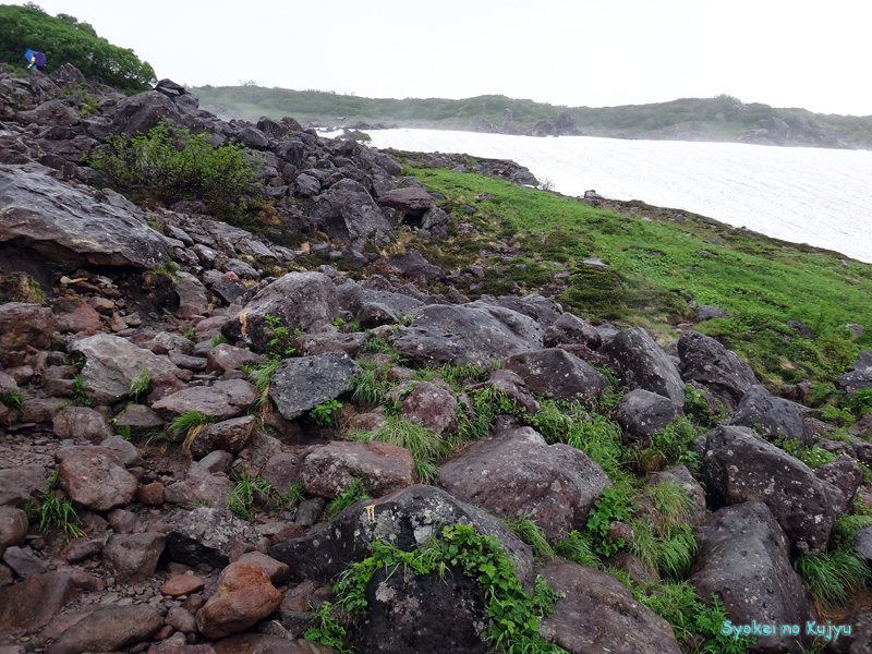 8月14.15.16日 北アルプス白馬岳遠征(14日)_c0288262_1649035.jpg