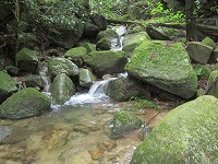 a0093965_22472542.jpg