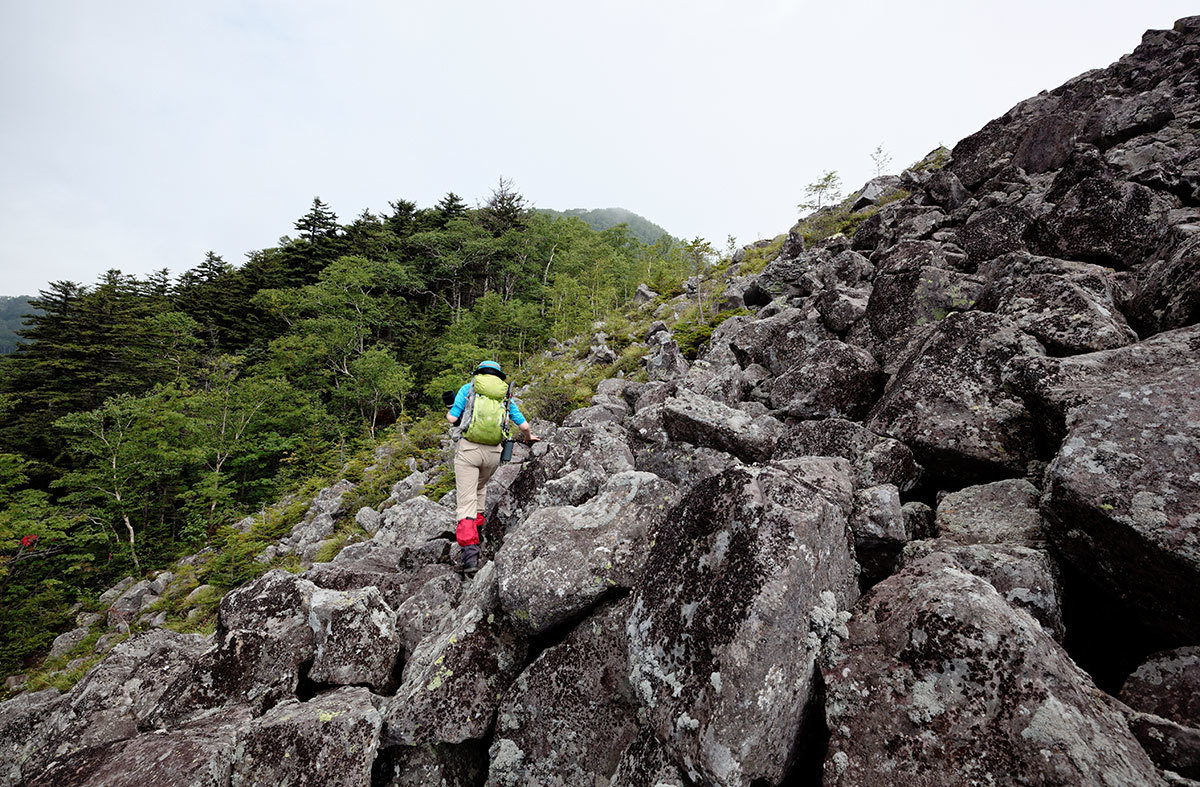 岩石山と白雲山　2015　夏_f0054366_10442005.jpg