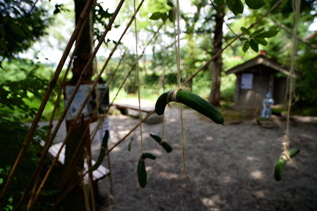 2015・夏旅の岩手【３】ー新花巻と遠野物語ー_b0247073_23472620.jpg