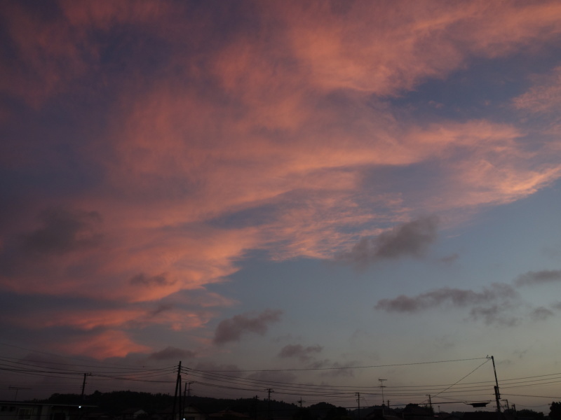 d0021491_16234417.jpg