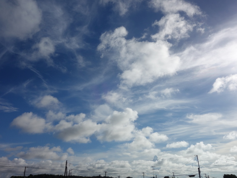 d0021491_16240524.jpg