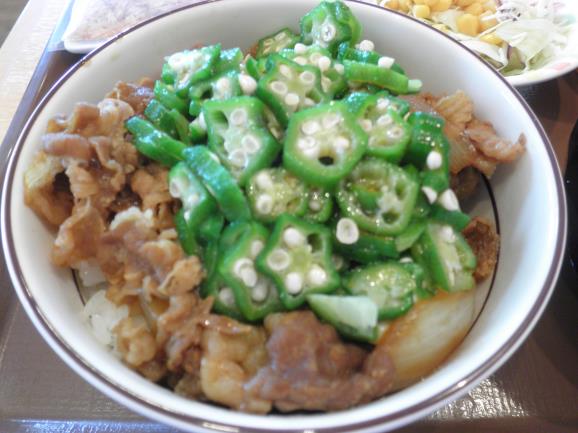 すき家のかつぶしオクラ牛丼　　宝塚中筋店_c0118393_14302786.jpg