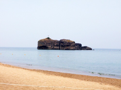 e0086798_3241819.jpg