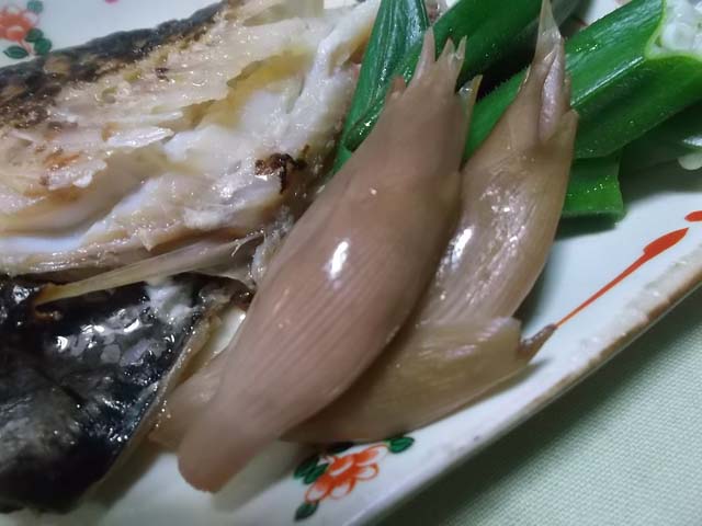 夫が焼いた赤魚の粕漬け 鳩サブレ―_f0019498_1841094.jpg