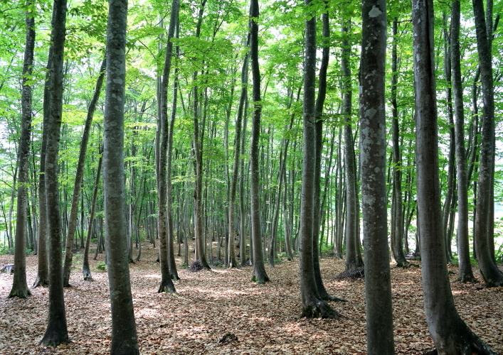 d0334006_14142762.jpg