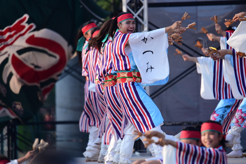 第32回朝霞市民祭り”彩夏祭”　かつみ獅子蓮花　（敬称略）_c0276323_1613448.jpg