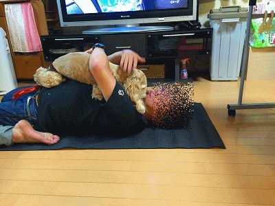 f0326925_23531919.gif