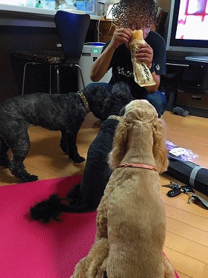 f0326925_23531956.gif