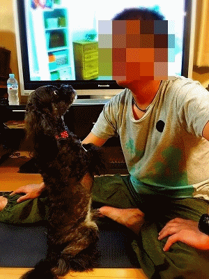f0326925_23543639.gif