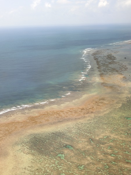 c0142326_13344938.jpg