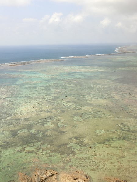 c0142326_1335192.jpg