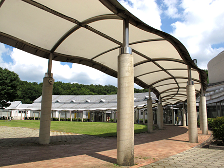 f0031535_2119496.jpg