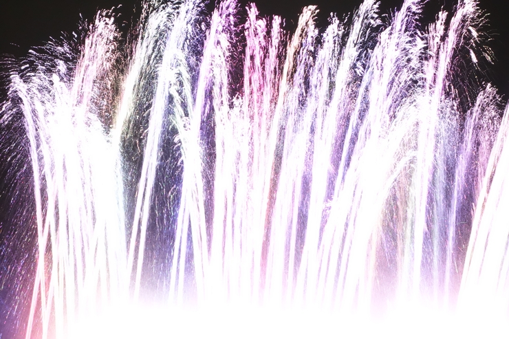 a0287336_2021110.jpg