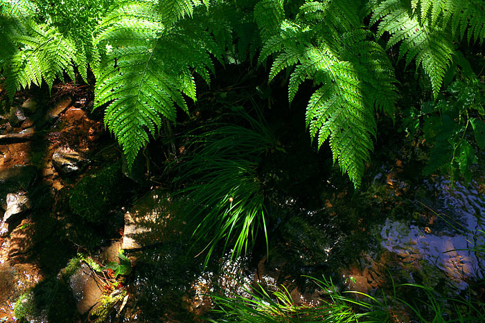 c0067040_22565635.jpg