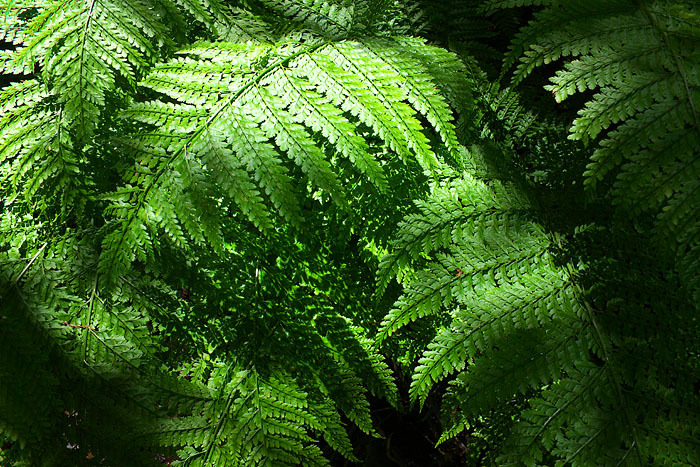 c0067040_22570936.jpg