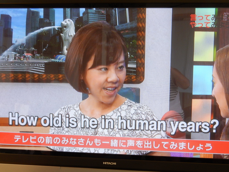 \'15,8,19(水)テレビでお勉強!_f0060461_11164258.jpg