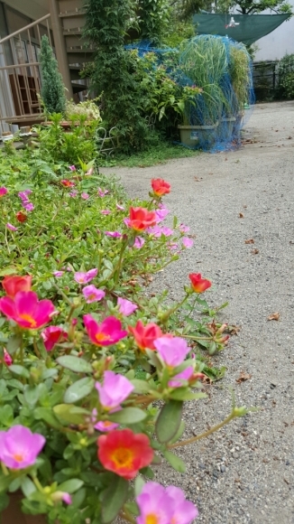 d0122762_07520527.jpg