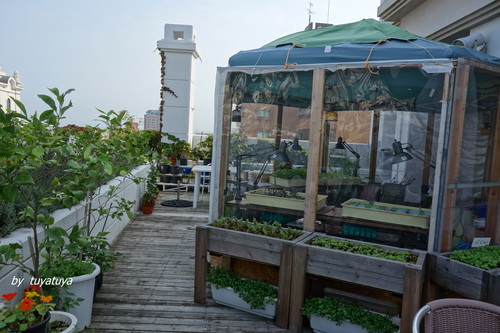 b0245877_2242955.jpg