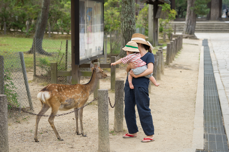 夏の思い出_f0167977_114157100.jpg