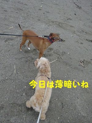 老老介護・・・終わりは見えない_e0222588_18103825.jpg