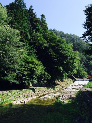 e0109292_17094352.jpg