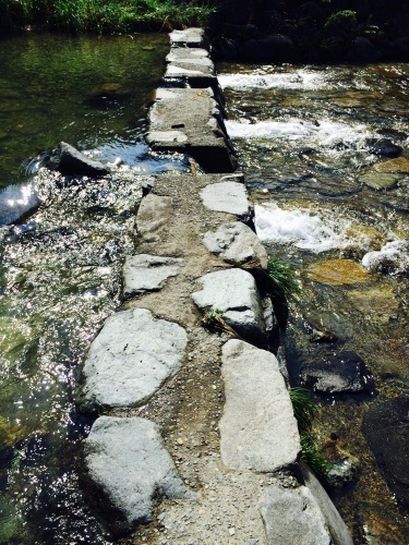 e0109292_17100199.jpg