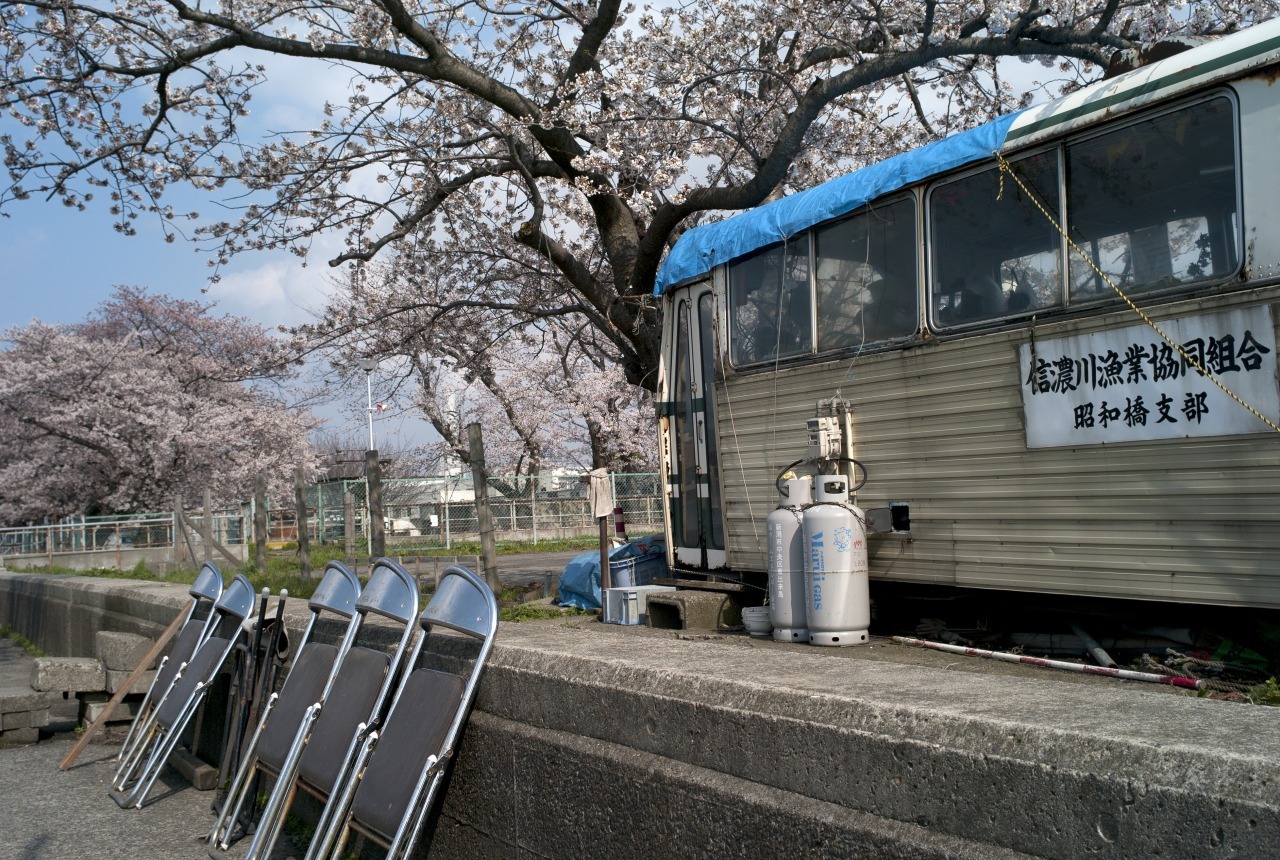 「私たちのまなざしとその記憶　新潟のフォトブロガー7名による写真展６」 WEB　カタログ_c0082800_20044442.jpg