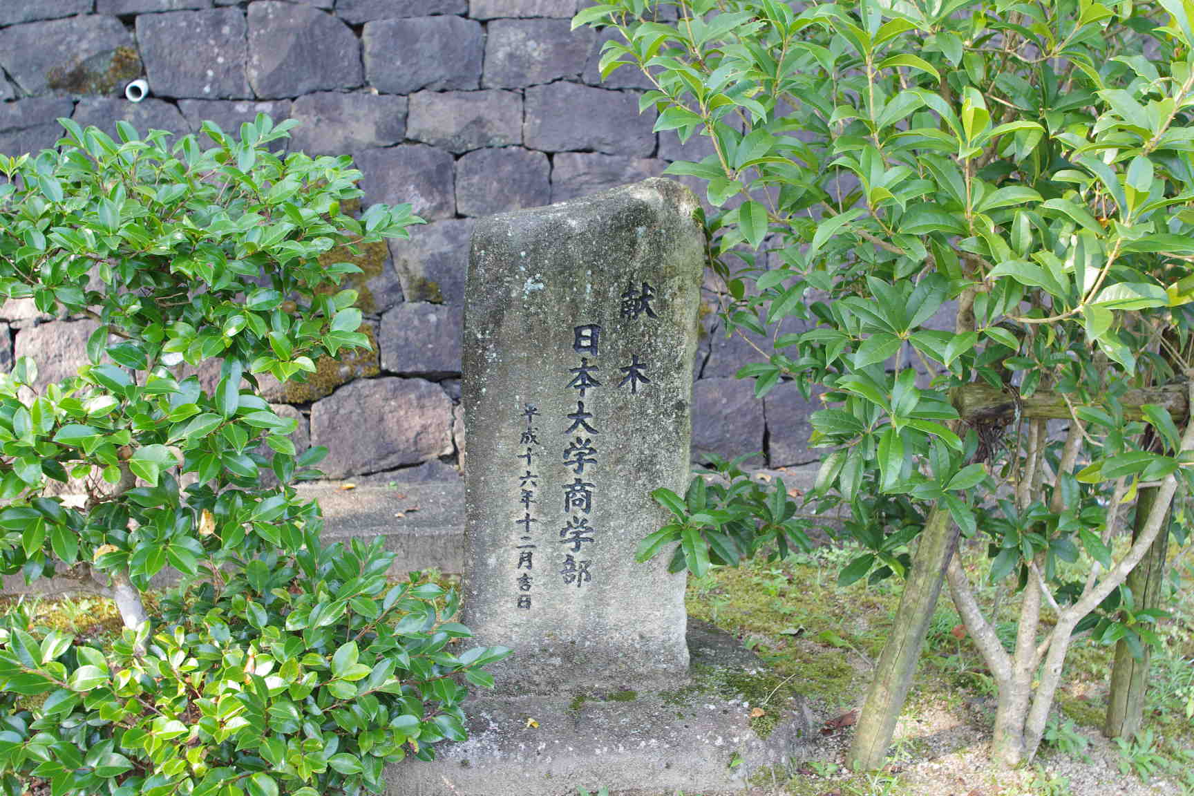 ＜秋田豪雨＞住民ぼう然「何から手を付ければ…」_c0192503_13461162.jpg