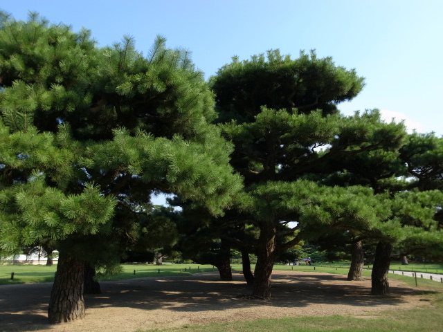 f0197703_16073525.jpg