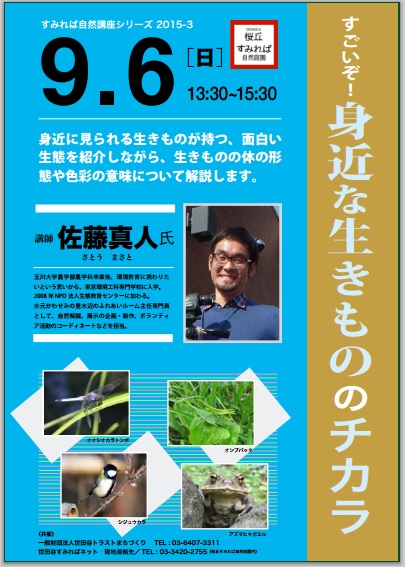 すみれば自然講座②「すごいぞ!身近な生きもののチカラ」_b0049307_10241279.jpg