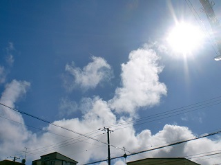 c0118011_186118.jpg