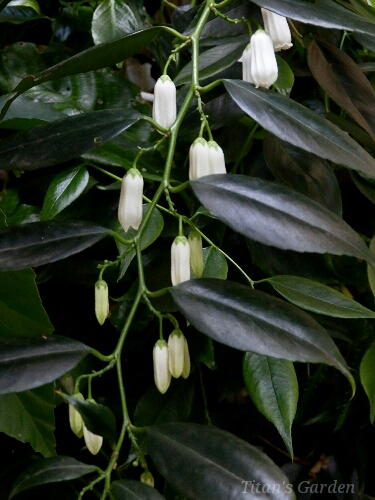 b0099813_03143.jpg