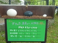 旭山動物園_a0177314_13515957.jpg