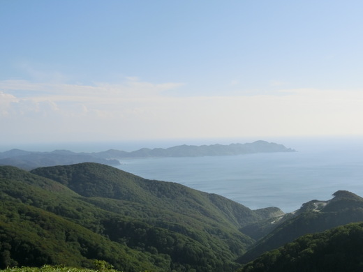 d0221319_78316.jpg