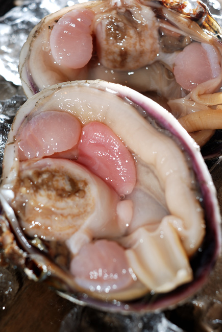 大あさり ウチムラサキ 焼くと美味い バーベキューにオススメ 魚屋三代目日記 大あさり ウチムラサキ 焼くと美味い バーベキューにオススメ 魚屋三代目日記