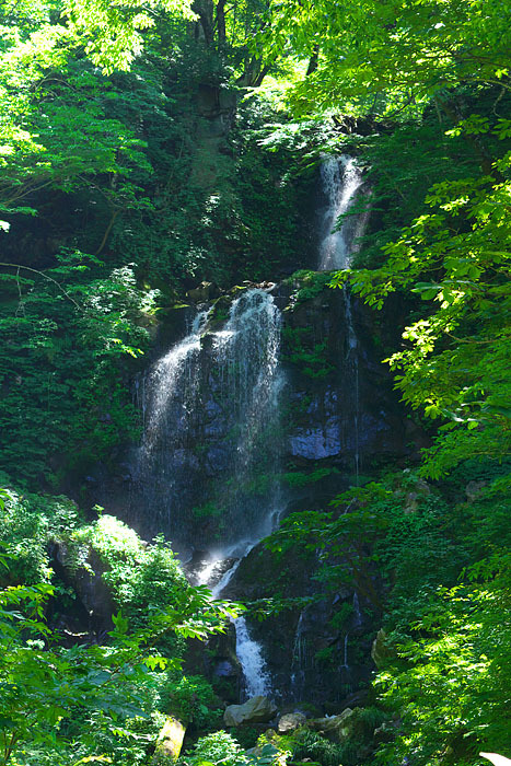 c0067040_22084492.jpg