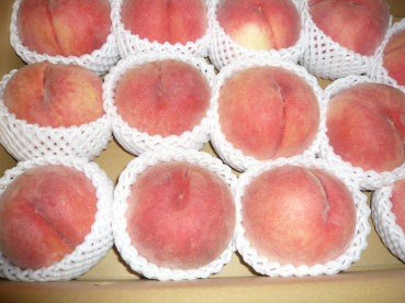 美味しい桃_c0365341_20402837.jpg