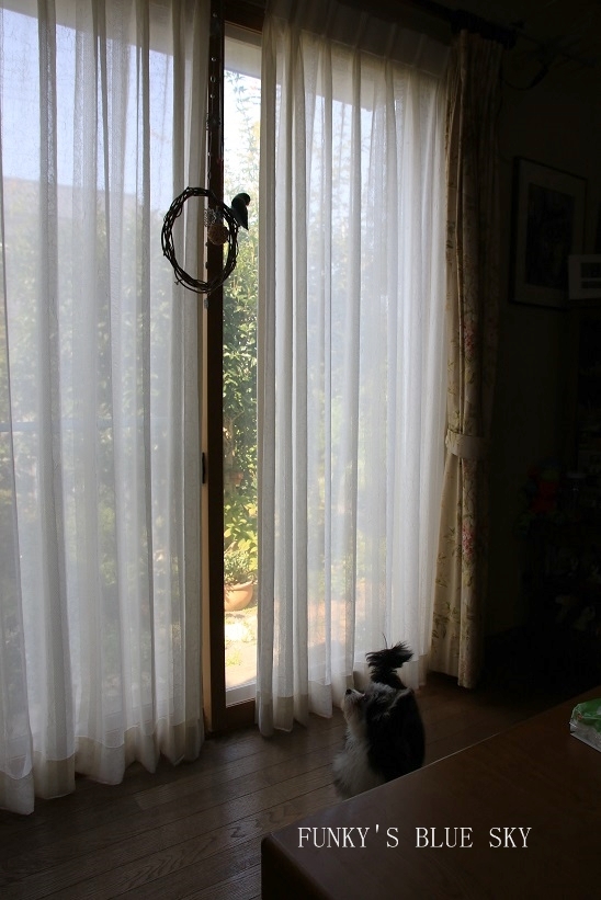 c0145250_16521716.jpg