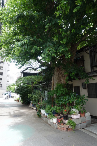 e0347755_17481591.jpg
