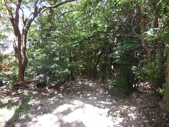 丸根砦_e0033570_23292046.jpg