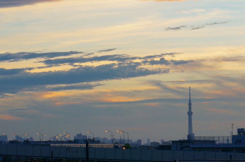 15.08.21 ある日の物干し場～三景～♪♪_e0240573_1843023.jpg