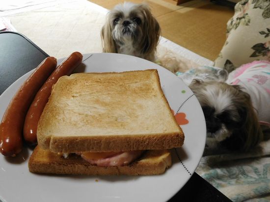 今夜は食に関する件・・_e0234881_2143949.jpg