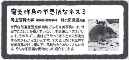 8月23日(日)は、「KAKEラボ in 加計呂麻」_e0028387_18434689.jpg