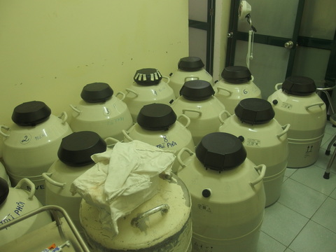 d0170396_21365368.jpg