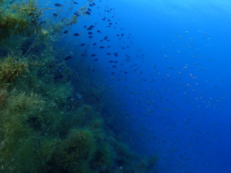 e0115199_12294643.jpg
