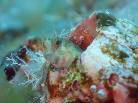 e0115199_12581501.jpg