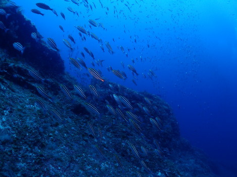 e0115199_13043907.jpg