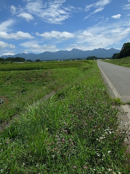 茅野の朝_f0108399_3522121.jpg