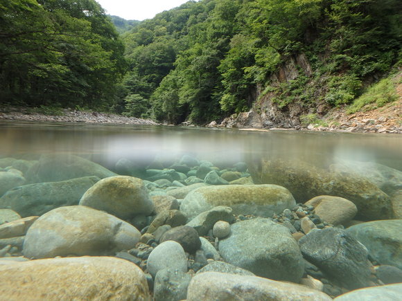 b0229003_1059661.jpg